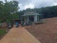 Hình ảnh Bán 1,8ha Phú Riềng, Bình Phước, 120x150, đường nhựa, giá 2,5 tỷ