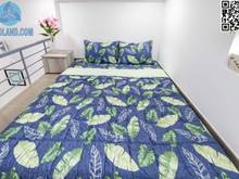 Hình ảnh Căn Hộ Gác Lửng Xinh Xắn Ngay Chợ TÂN PHƯỚC Quận 11
