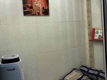 Hình ảnh Bán Nhà Gò Vấp, 40m2, 2 Tầng, Sổ Hồng Chính Chủ.