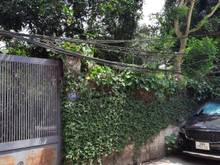 Hình ảnh cho thuê biệt thự đường số 1 phố An Dương, Yên Phụ,Tây Hồ, Hà Nội