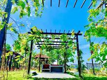 Hình ảnh Chỉ 1ty1 nhận ngay nhà phố sổ hồng 1 trệt 2 lầu sân thượng