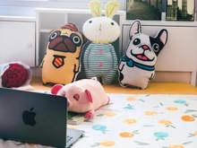 Hình ảnh 🔜Phòng cho thuê mới, đầy đủ tiện nghi NGUYỄN SỸ SÁCH Q.TÂN BÌNH.🔜
