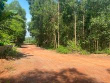 Hình ảnh Bán 12ha đất Tân An Vĩnh Cửu cách 767 chỉ 1.5km giá 350tr/1xào