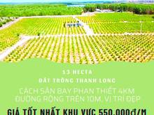 Hình ảnh Chính chủ cần bán 13Ha Đất Vườn, cách sân bay phan thiết 4KM