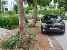 Hình ảnh Đất đấu giá Thượng thanh 72tr/m2 rẻ như cho mặt tiền 8m
