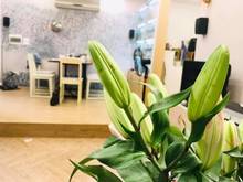 Hình ảnh Bán nhà CHÙA BỘC, ĐỐNG ĐA, KD Thời trang, Caffe đỉnh 52m2, Giá 10.8 Tỷ