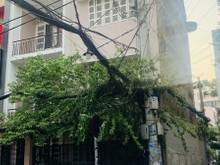 Hình ảnh Cho thuê nhà mới MT Trần Quang Diệu quận 3 (6.2x10m) trệt 2 lầu .