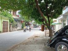 Hình ảnh Mặt phố Thanh Bình- Hà Đông, kinh doanh sầm uất, ô tô vào nhà.