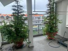 Hình ảnh Bán nhà khu nội bộ quận 4 - Nhà ngay khu trung tâm ăn uống quận 4  - D