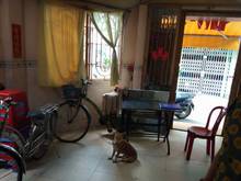 Hình ảnh Cần bán nhà , kh ngườiHoa sinh sống đông đúc, 31m2, 4T. 3,5.8. 4,5 Tỷ