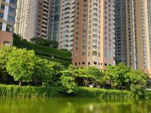 Hình ảnh Chính chủ Bán chung cư Mulberry Lane phố Nguyễn Văn Lộc Hà Đông