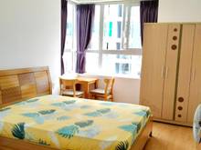 Hình ảnh Cho Thuê Phòng CC Hưng Phát 2  Gần ĐH Tôn Đức Thắng, RMIT