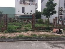 Hình ảnh Cần tiền chữa bệnh chủ nhà gửi bán 92,6m đất biệt thự BT1 Phúc Lợi