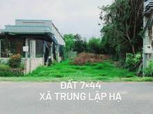 Hình ảnh *CHÍNH CHỦ BÁN ĐẤT 1/TL2,Trung Lập Hạ, Sổ 434.6m2; thổ 120m2, 2.2tỷ TL