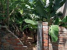 Hình ảnh Bán gấp 31 m2 đất ngõ phố Vũ Đức Thận, Long Biên, MT 6,9m, 1,85 tỷ.