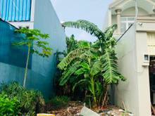Hình ảnh Đất Thổ Cư 5 x 22m Mặt Tiền Đường Xuân Thới Sơn 19 Gần Chợ Chữ S