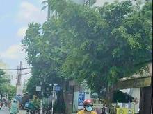 Hình ảnh Nhà mới ở ngay hẻm 1xẹt 4m5.Đ/c 99/13 Huỳnh thiện lộc,TP.3,1x13m.4tỷ2