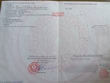 Hình ảnh 12mx38m, nở hậu 16m,2009/ Lê Văn Lương