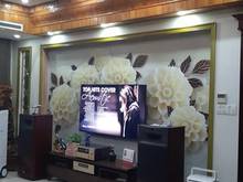 Hình ảnh Bán nhà PHẠM NGỌC THẠCH, ĐỐNG ĐA Gara, ngõ thông, 57m2, Giá 11.9 Tỷ.