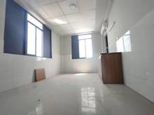 Hình ảnh Phòng Căn Hộ Studio Có Cửa Sổ Lớn Ngay Coopmart Quang Trung.