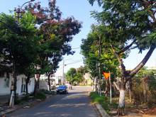 Hình ảnh Bán đất 2 mặt tiền Trần Xuân Soạn, Đà Nẵng  - Địa chỉ: P. Khuê Trung,