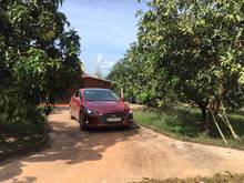 Hình ảnh Gia đình cần bán 1 sào đất (14x71), SHR, giá rẻ
