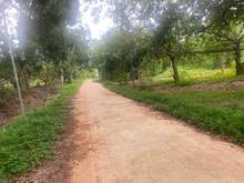 Hình ảnh Bán đất Thanh Lương, TX. Bình Long, DT:5x40, TC50m2, SHR,  360 triệu