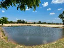 Hình ảnh Đất làm farm 5000m2 ở thị trấn ngay đường LIÊN HUYỆN. Tiềm năng cao