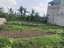 Hình ảnh Siêu cần tiền bán 221m đất Khoan Tế, Đa Tốn, morning vào tận đất:
