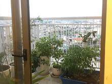 Hình ảnh 1PN 40m2 View Đông Bắc, KĐT Hồ Gươm Xanh, Giá Chỉ 1 TỶ, Nhà Mới