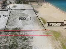 Hình ảnh Kẹt vốn mùa dịch để lại giá rẻ lô 4500m2 mặt biển