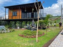 Hình ảnh Bán gấp, vườn trái cây rộng 1000m2, có sẵn nhà cấp 4, hồ cá sau nhà