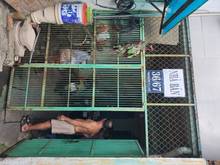 Hình ảnh Bán nhà đường Tăng Bạc Hổ, Q. Bình Thanh, 76m2, giá rẻ dưới 6 tỷ