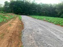 Hình ảnh Đất mặt tiền đường hiện hữu 1100m2 sổ hồng riêng giá 1 tỷ 1