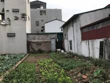 Hình ảnh Bán đất thổ cư tổ 5 Cự Khối cách đường ô tô 15m vị trí siêu đẹp, 46m2