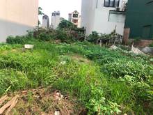 Hình ảnh Ông chú đại gia cần bán 397m đất thôn Gia Lâm, Lệ Chi. Đường ô tô trán