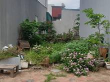 Hình ảnh Chỉ 2 tỷ có đất TĐC Cự Khối, Long Biên đường trải nhựa, ô tô đỗ cửa. L