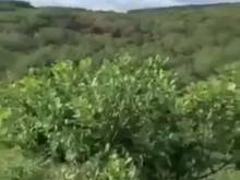 Hình ảnh Bán đất Bình sơn .DT:1,8 ha.Giá 600triệu / ha