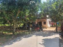 Hình ảnh Bán vườn xoài, mít có sẵn 100m2 thổ cư, đường bê tông, view hồ Trị An.
