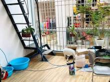 Hình ảnh Bán gấp căn Võng Thị , Tây Hồ - view Hồ tây lộng gió, giá 3,7 tỷ