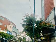 Hình ảnh Bán nhà 2C bạch đằng P.2 Q. Tân Bình trệt 3 lầu thang máy giá 13.8 tỷ