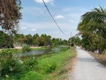 Hình ảnh Bán biệt thự vila đường, xa AN Sơn, Thuận AN, Bình Dương