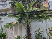 Hình ảnh Nhà Riêng Mặt Tiền Đường, 2 lầu, 1 trệt, 130m2, Gần đường Bình Phú Q6