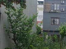 Hình ảnh Gia đình cần bán 60m2 khu TĐC Trâu Quỳ qui hoạch đẹp.