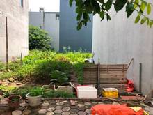 Hình ảnh Vỡ nợ bán gấp 68m đất đấu giá C33 khu Hồ Voi – Cổ Bi: