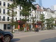 Hình ảnh Cho thuê Shophouse Nguyễn chánh, Cầu giấy 110m2x5T