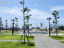 Hình ảnh Cần bán gấp lô đất chính chủ trong dự án view sông, kề biển Ngọc Dương