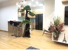 Hình ảnh Cần bán cc cao cấp Nguyễn thị định 110m2 chia 3 ngủ full nội thất đẹp,