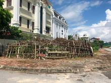 Hình ảnh Bán 73 lô góc hai mặt đường khu đấu giá A1 Cự Khối, Long Biên:
