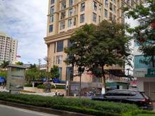 Hình ảnh Hạ chào 56 tỷ-mặt phố XUÂN DIỆU, 256m2, mặt tiền 9.5m.